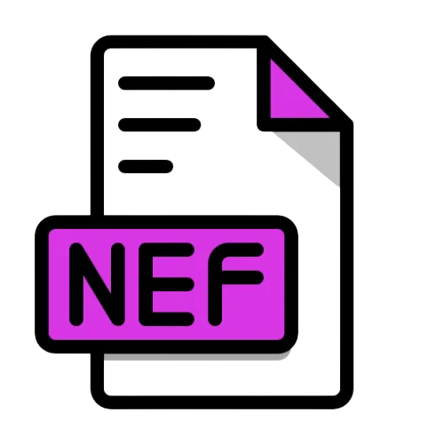 Illustration showing how to convert any image to NEF format using an online tool