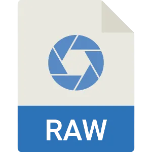 Convert Any Image to RAW Format