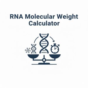 RNA Molecular Weight Calculator